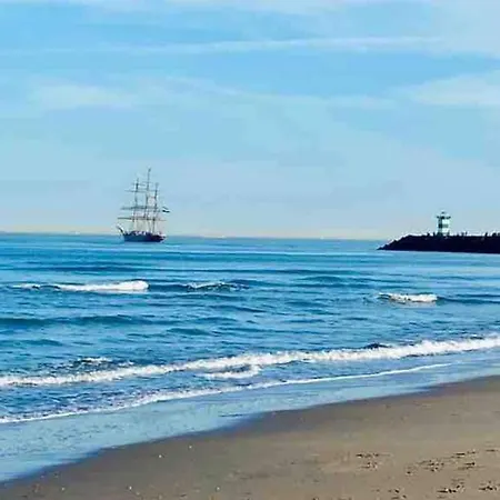 5stars In A Shared Flat By The Beach, The Dunes And The Harbor ホームステイ
